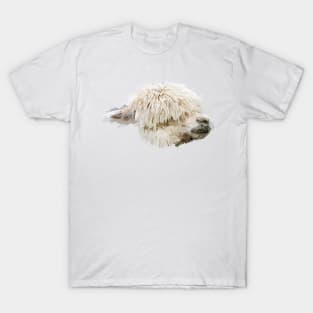 Llama T-Shirt